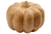 calabaza de papel maché - Decores en cartón – 10doigts.fr