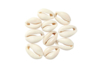 Conchas Cauri naturales - 12 unidads - Abalorios Heishi y conchas – 10doigts.fr