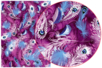 Decopatch Paper Feathers - 3 Sheets No. 577 - 1 - Decopatch Papers - 10doigts.com - Decopatch Papers – 10doigts.fr
