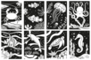 DIBUJOS VELVET - Formas y dibujos para colorear – 10doigts.fr