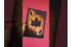 Silhouette Herbarium Boards - 2 - Craft Activities Painting: Creations for All Ages and All Desires - 10doigts.com - Craft Activities Painting: Creations for All Ages and All Desires – 10doigts.fr