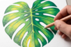 hoja monstrea blender - Accesorios de dibujo Bellas Artes – 10doigts.fr