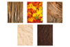 Nature Theme Paper, A4 Size - 30 Sheets - 5 - A4 Papers - 10doigts.com - A4 Papers – 10doigts.fr