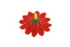 Fabric Flowers - 50 pcs - 2 - Decorative Flowers and Leaves - 10doigts.com - Decorative Flowers and Leaves – 10doigts.fr