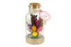 Dried Flowers and Leaves - 48 Pieces - 2 - Decorative Flowers and Leaves - 10doigts.com - Decorative Flowers and Leaves – 10doigts.fr