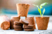 Compressed Soil Pellets - 12 Pieces - 2 - Gardening for Kids - 10doigts.com - Gardening for Kids – 10doigts.fr