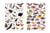 Gommettes Animal Sauvage Realiste - Animal Stickers – 10doigts.fr