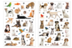 Animal Stickers - 42 pcs - 3 - Realistic Stickers - 10doigts.com - Realistic Stickers – 10doigts.fr