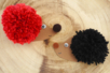 Pom Pom Hedgehog - 2 - Animal Crafts: Our Creative Ideas for Children - 10doigts.com - Animal Crafts: Our Creative Ideas for Children – 10doigts.fr