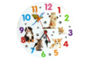 Animal Stickers - 42 pcs - 2 - Realistic Stickers - 10doigts.com - Realistic Stickers – 10doigts.fr