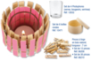 Idea Crea : Candelabro en pinzas para la ropa - Actividades manuales para hacer sus velas y jabones – 10doigts.fr