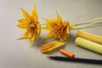 kit Ramo Otoñal Creativo  - Flores de papel crepé para manualidades: crea ramos duraderos – 10doigts.fr