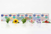 Kit pâtes Fimo - Collection Botanique - Packs Promo pastas Fimo – 10doigts.fr
