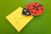 Ladybug Note Kit - 12 pieces - 1 - Notebooks - 10doigts.com - Notebooks – 10doigts.fr