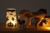 Halloween Lantern Cups - 6 Pieces - 3 - Halloween Craft Kits - 10doigts.com - Halloween Craft Kits – 10doigts.fr