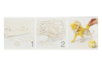 Natural Wood 3D Lion Model - 2 - Wood Models - 10doigts.com - Wood Models – 10doigts.fr
