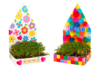 Growing Planters Kit - 6 Pieces - 4 - Animal and Nature Kits - 10doigts.com - Kits de naturaleza y fauna: construye tu mini selva en casa. – 10doigts.fr