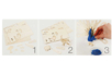 3D Natural Wood Peacock to Assemble - 3 - Wood Models - 10doigts.com - Wood Models – 10doigts.fr