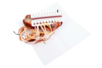 Cross Stitch Kit: Lion - 5 - Sewing Kits - 10doigts.com - Sewing Kits – 10doigts.fr