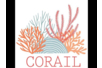 PAPEL CORAL - Papeles con motivos – 10doigts.fr