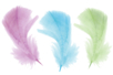 Pastel Feathers - Approximately 50 Feathers - 2 - Decorative Feathers - 10doigts.com - Decorative Feathers – 10doigts.fr