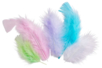 Pastel Feathers - Approximately 50 Feathers - 0 - Decorative Feathers - 10doigts.com - Decorative Feathers – 10doigts.fr