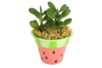 maceta cactus sandía - Plástico Opaco – 10doigts.fr