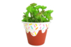 maceta donut - Plástico Opaco – 10doigts.fr