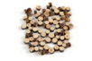 Rodajas de madera natural - Decors naturaleza – 10doigts.fr