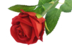 Artificial Velvet Effect Rose - 3 - Flowers, Plants - 10doigts.com - Flowers, Plants – 10doigts.fr