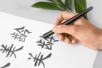 Calligraphy Set - Fountain Pen and Ink - 2 - Calligraphy, Writing - 10doigts.com - Calligraphy, Writing – 10doigts.fr