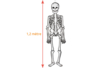 esqueleto de Halloween - Kits creativos de Halloween – 10doigts.fr