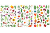 Herbarium Stickers - 3 Sheets (112 pcs) - 7 - Realistic Stickers - 10doigts.com - Realistic Stickers – 10doigts.fr