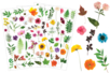 Herbarium Stickers - 3 Sheets (112 pcs) - 1 - Realistic Stickers - 10doigts.com - Realistic Stickers – 10doigts.fr