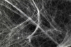 Stretchable White Spider Web - 1 - Halloween Creative Accessories - 10doigts.com - Halloween Creative Accessories – 10doigts.fr
