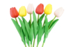 tulipanes de goma espuma  - Flores y hojas decorativas – 10doigts.fr