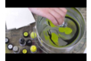 marbling de video - Pintura marbling – 10doigts.fr