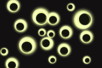 Glow-in-the-dark Moving Eyes - 300 Pieces - 2 - Googly Eyes - 10doigts.com - Googly Eyes – 10doigts.fr