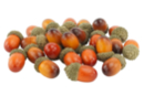 Bellotas decorativas - 24 unidads - Decors naturaleza - 10doigts.fr