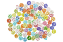 Decorative Wooden Buttons - 300 Pieces - Buttons - 10doigts.fr