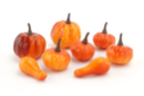 Decorative Small Pumpkins - 8 Pieces - Natural Decorations - 10doigts.fr