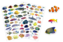 Gomets peces realistas - 84 pcs - Gomets animales - 10doigts.fr
