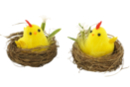 Little Chickens on Straw Nests - 2 pcs - Easter Decorative Accessories - 10doigts.fr