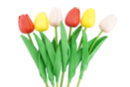 Artificial Tulips - 6 Pieces - Decorative Flowers and Leaves - 10doigts.fr