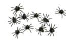 Black Spiders - 10 Pieces - Halloween Creative Accessories - 10doigts.fr