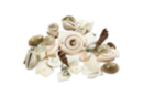 Shell Beads - Assortment of 120 g - Heishi Beads and Shells - 10doigts.fr