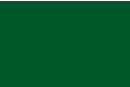 Papel grueso 300 gr/m² Verde oscuro - 10 hojas A4 - Papel formato A4 12264 - 10doigts.fr