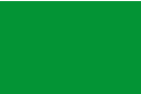 Papel grueso 300 gr/m² Verde pradera - 10 hojas A4 - Papel formato A4 12263 - 10doigts.fr