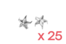 Silver star nails - 25 nails - Nails and Rivets 19274 - 10doigts.fr