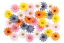 Fabric Flowers - 36 Pieces - Decorative Flowers and Leaves - 10doigts.fr
